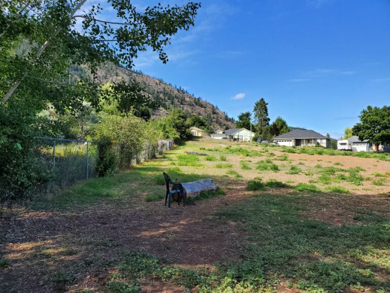Shannon Woods Off Leash Dog Park West Kelowna BC 6 768x576