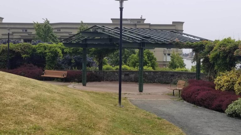 Songhees Hillside off leash dog park Victoria BC Songhees hillside off leash dog park victoria bc 768x432