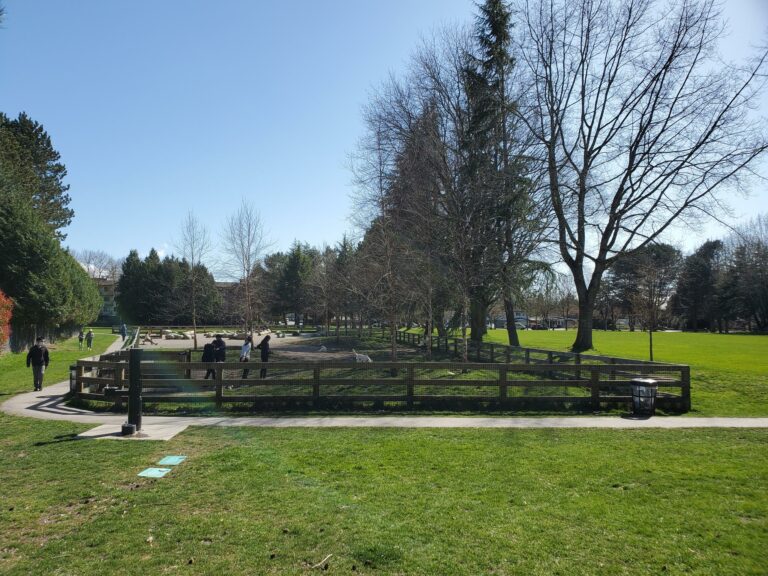 South Arm Off leash Park Richmond BC 768x576