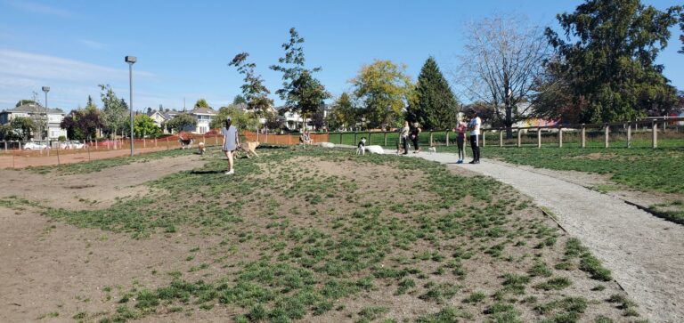 Sunset Park off leash Dog Park Vancouver BC 768x363