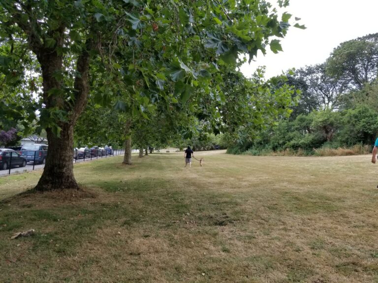 Topaz off leash dog park Victoria BC 768x576