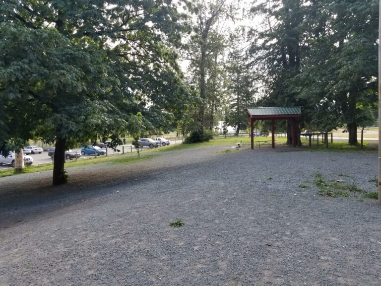 Vedder River Off leash Dog Park Chilliwack BC 768x576
