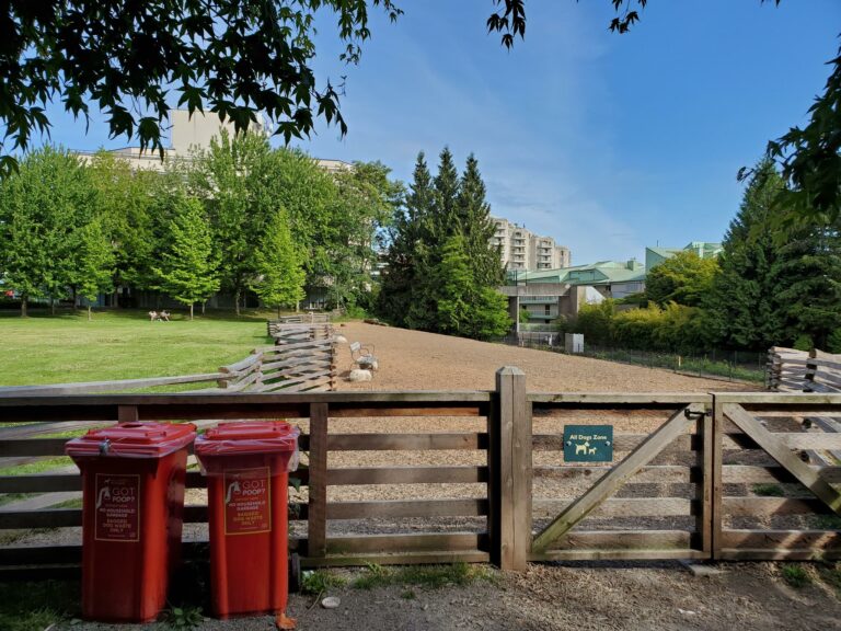 Waterfront Off Leash Dog Park North Vancouver BC 6 768x576
