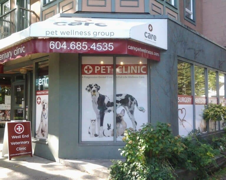West end veterinary clinic 768x614