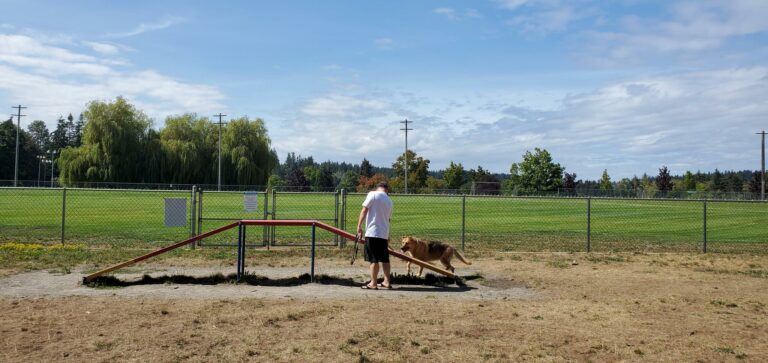 Willow Point Off leash Dog Park Campbell River BC 768x363