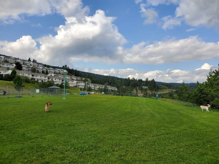 Aberdeen Hills Off Leash Dog Park Kamloops BC 1 768x576