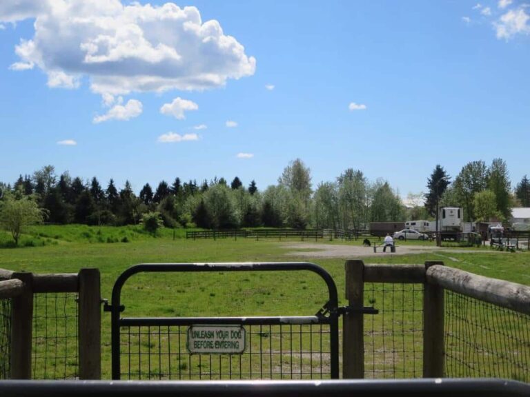 Albion Fairgrounds off leash dog park Maple Ridge BC 2 768x576