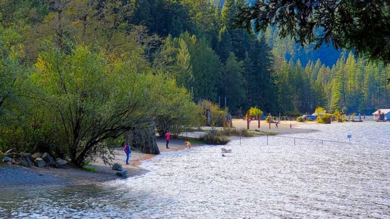 Buntzen Lake Park Off leash Dog Beach Anmore BC Canada 1 1 768x432