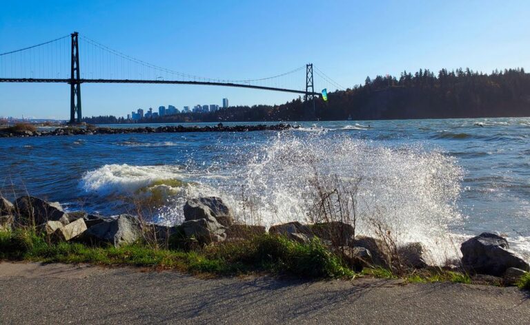 Ambleside Off Leash Dog Park West Vancouver BC 3 Ambleside off leash dog park west vancouver bc 3 768x472