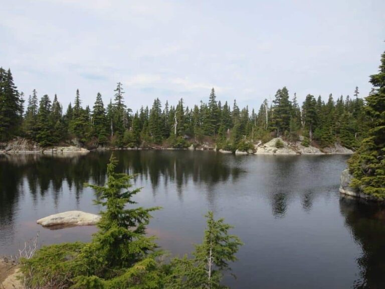 Eagle Lake Bluffs Hike West Vanvouver BC 3 Eagle lake bluffs hike west vanvouver bc 3 768x576