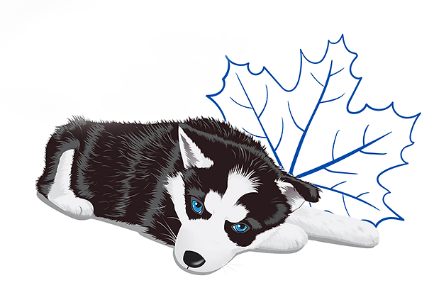 Northern Hope Dog Rescue