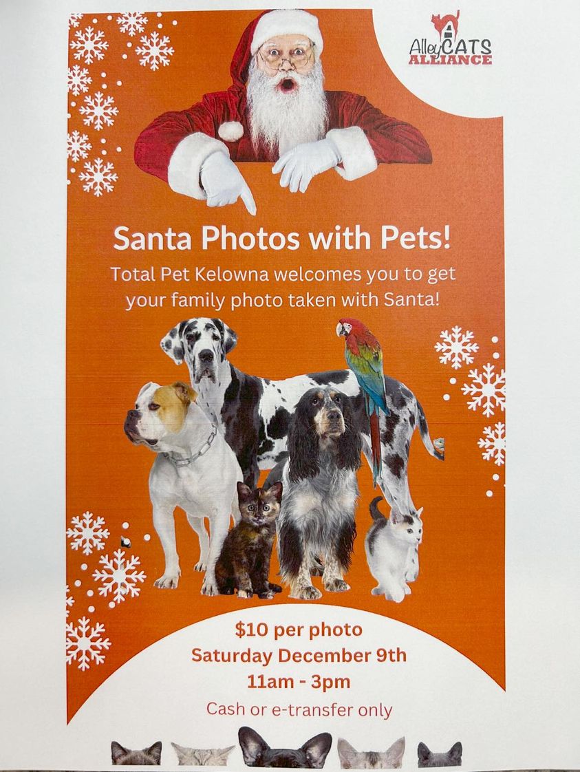 Dog Photos with Santa at Total Pet (2023), Kelowna, BC The Dog Network
