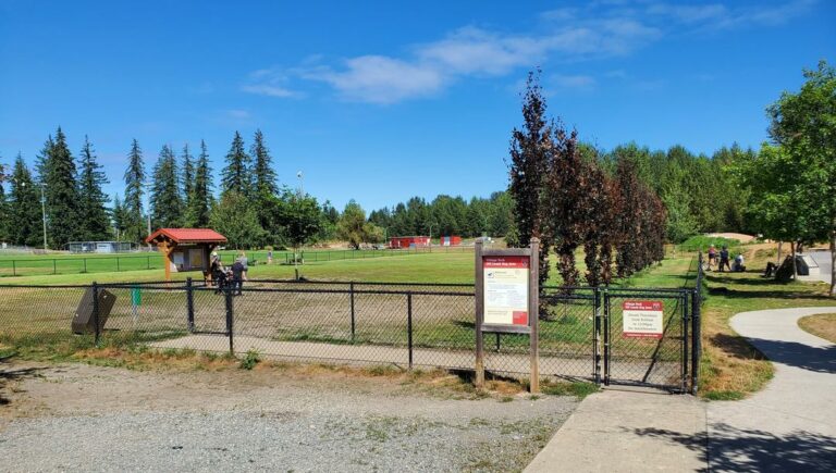 Cumberland Village Park off leash dog park Cumberland British Columbia 1 768x435