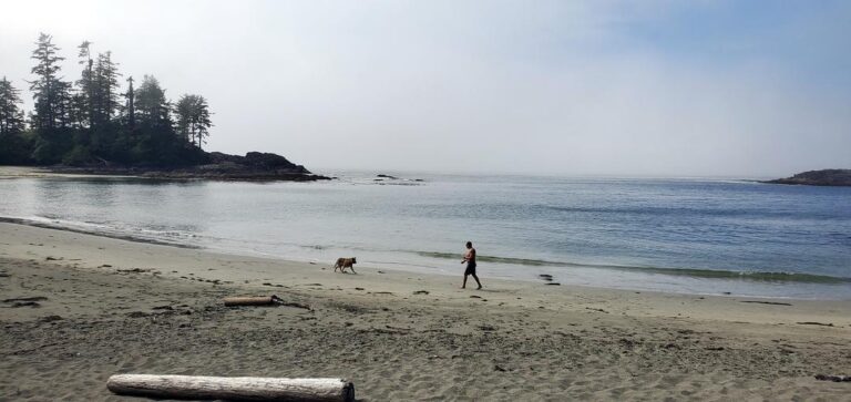 Halfmoon Bay Tofino BC 1 768x363