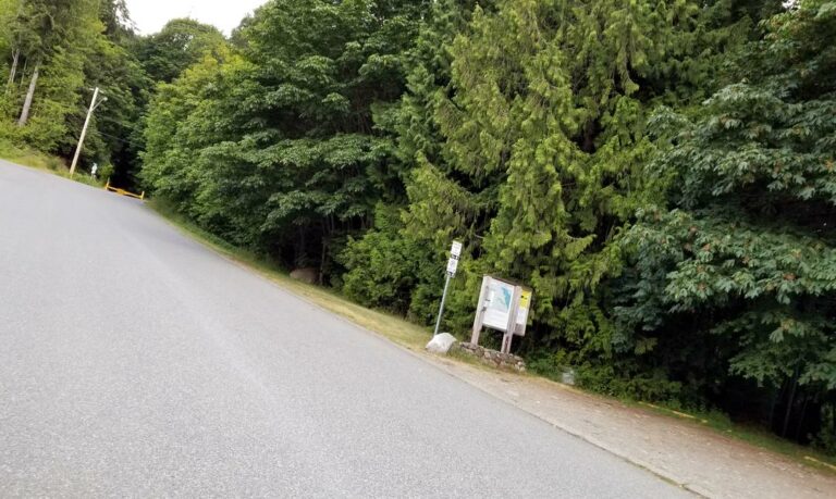 Heart Lake Stocking Lake Loops Ladysmith BC 1 768x459