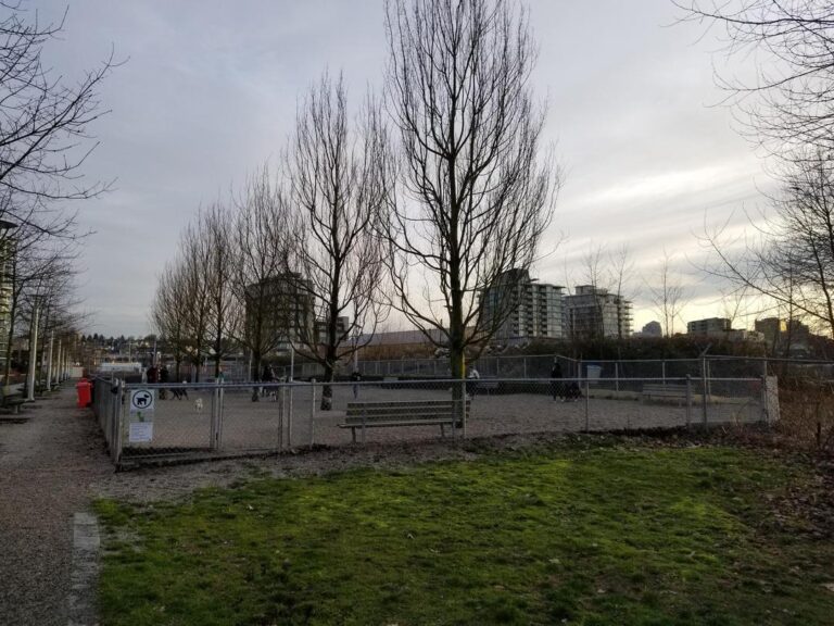 Hinge Park at Olympic Villiage Dog Park 1 768x576