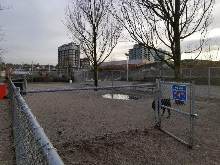 Hinge Park at Olympic Villiage Dog Park 4 768x576
