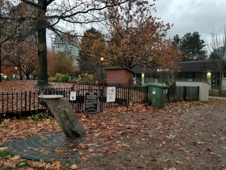 Nelson Park off leash dog park Vancouver BC 1 768x576