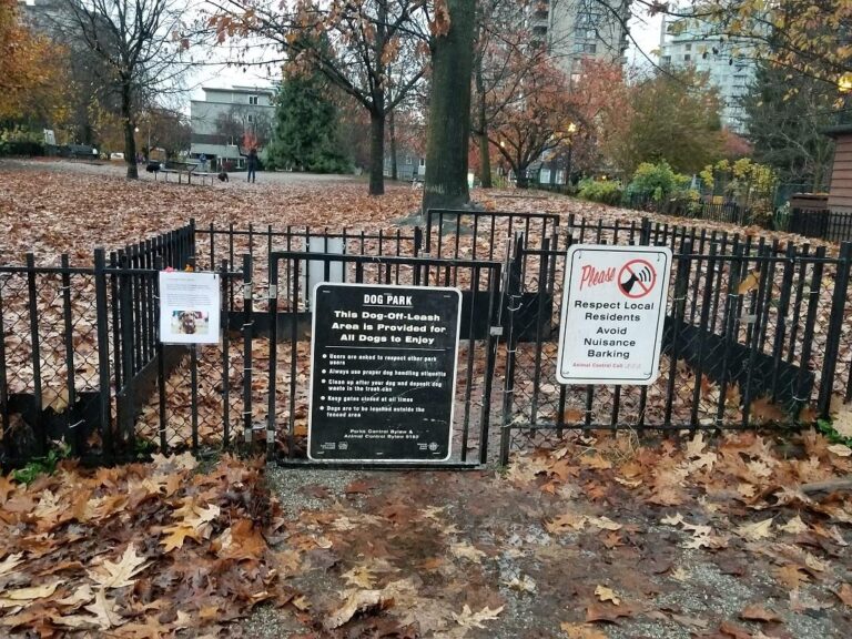 Nelson Park off leash dog park Vancouver BC 2 768x576
