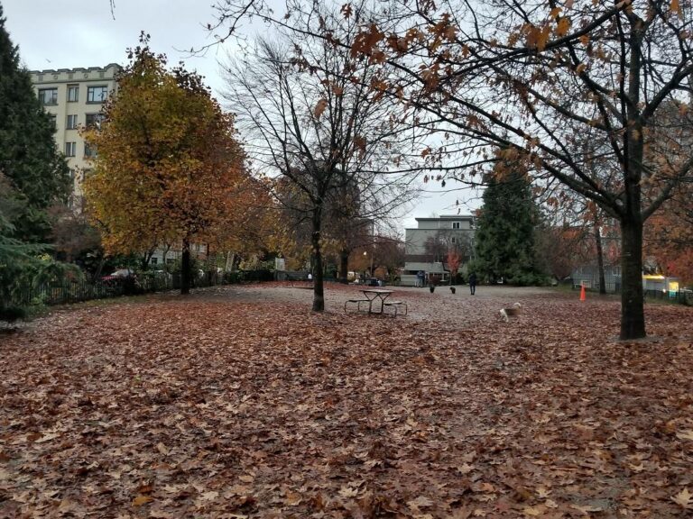 Nelson Park off leash dog park Vancouver BC 3 768x576