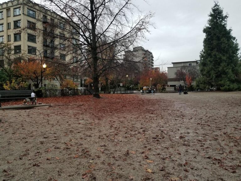 Nelson Park off leash dog park Vancouver BC 4 768x576