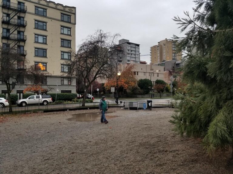 Nelson Park off leash dog park Vancouver BC 5 768x576