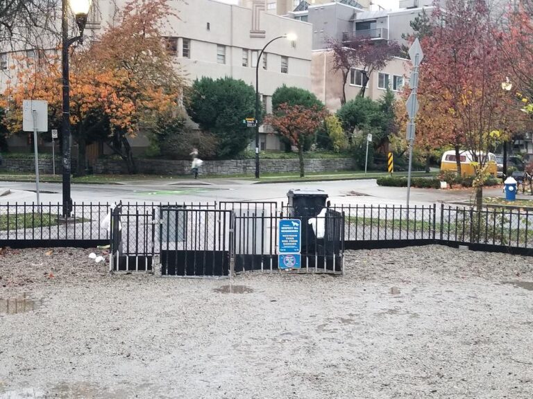 Nelson Park off leash dog park Vancouver BC 6 768x576