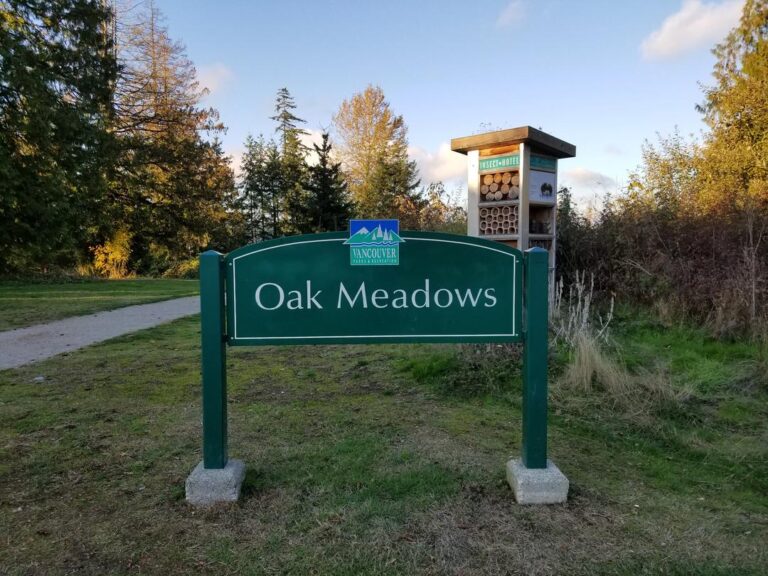 Oak Meadows Park off leash dog park Vancouver BC 1 768x576