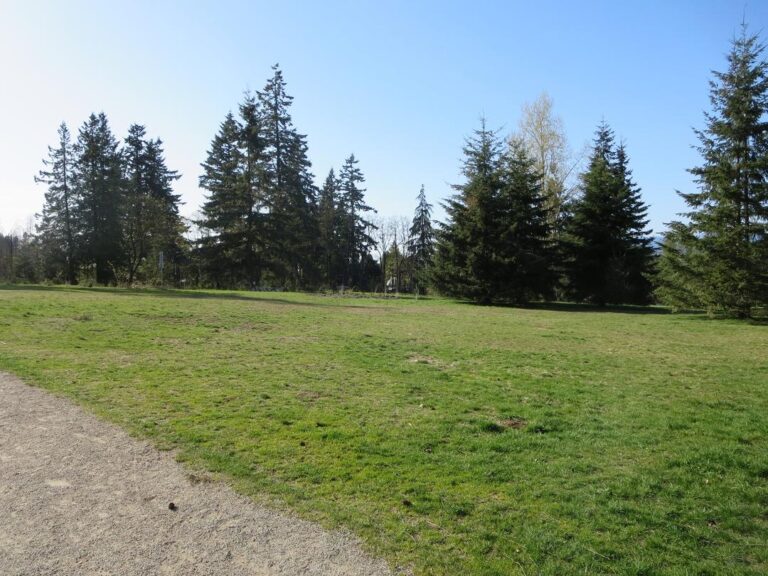 Oak Meadows Park off leash dog park Vancouver BC 2 768x576