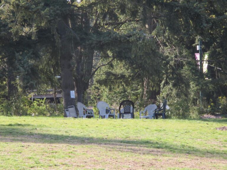 Oak Meadows Park off leash dog park Vancouver BC 3 768x576