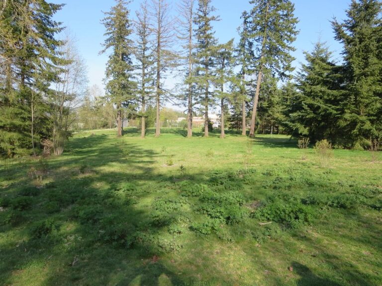 Oak Meadows Park off leash dog park Vancouver BC 4 768x576
