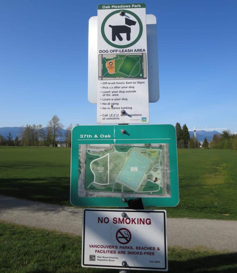 Oak Meadows Park off leash dog park Vancouver BC 5 768x882