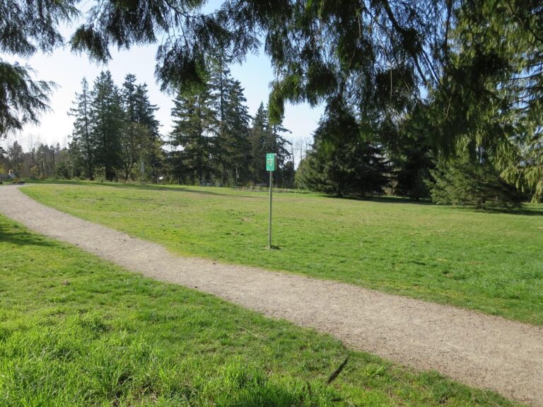 Oak Meadows Park off leash dog park Vancouver BC 6 768x576