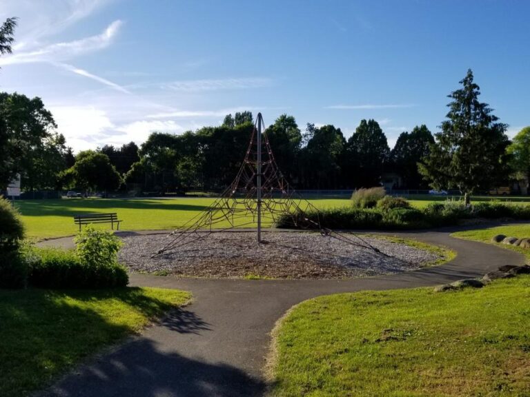 Strathcona Park off leash dog park Vancouver BC 6 768x576