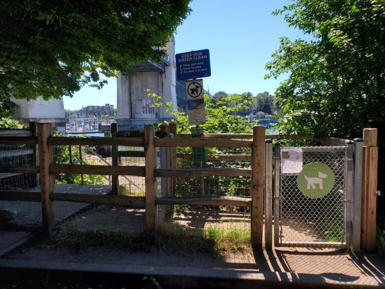 Sunset Beach Off Leash Dog Park Vancouver BC 1 1 768x576