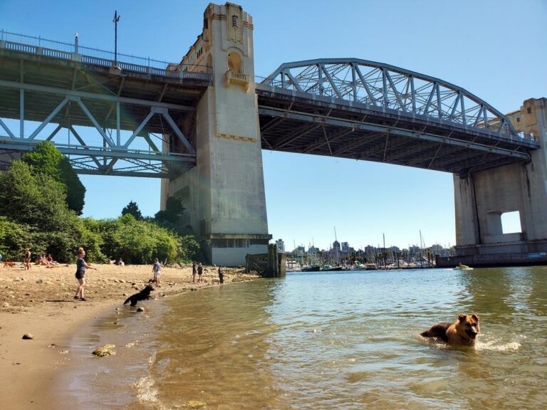 Sunset Beach Off Leash Dog Park Vancouver BC 4 1 768x576