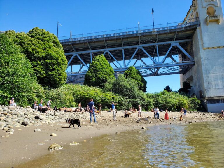 Sunset Beach Off Leash Dog Park Vancouver BC 5 1 768x576