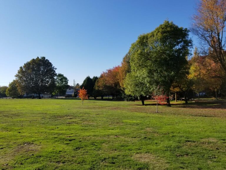 Tecumseh Park off leash dog park Vancouver BC 3 768x576