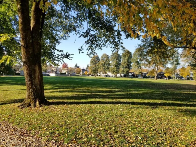 Tecumseh Park off leash dog park Vancouver BC 6 768x576