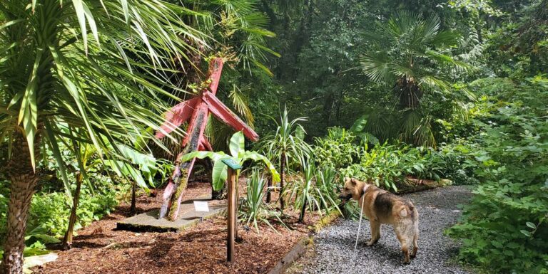Tofino botanical gardens 11 3 768x385