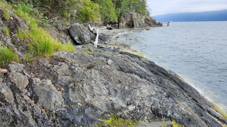 Baker Beach Coastal Access Point off leash Bowen Island BC 10 768x432