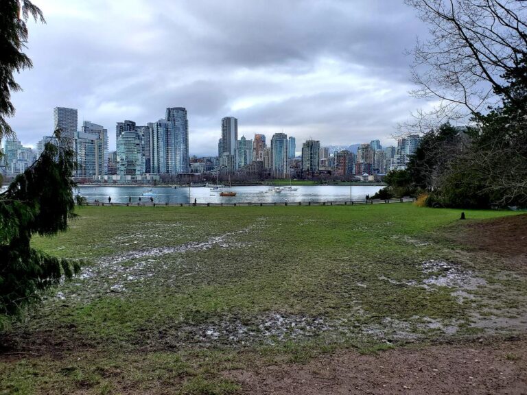 Charleson Off Leash Dog Park Vancouver 44 768x576