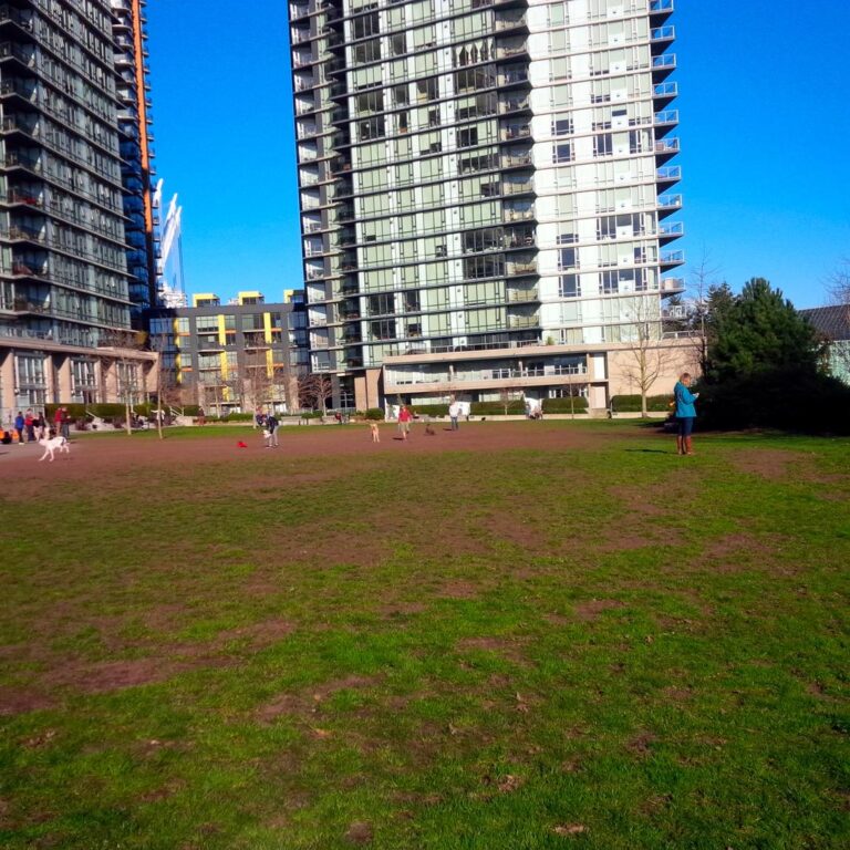 Coopers Park off leash dog park Vancouver BC 1 768x768