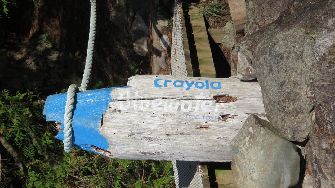 Crayola Beach off leash dog beach Bowen Island BC 8