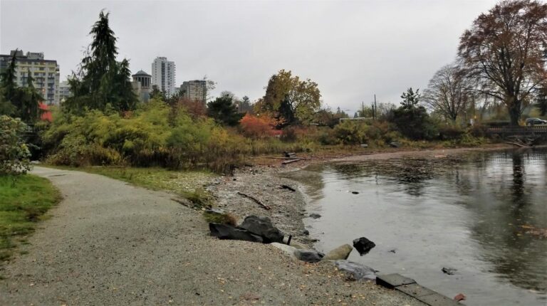 Devonian Harbour Off Leash Dog Park Vancouver BC 12 768x430
