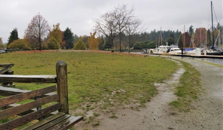 Devonian Harbour Off Leash Dog Park Vancouver BC 4 768x450