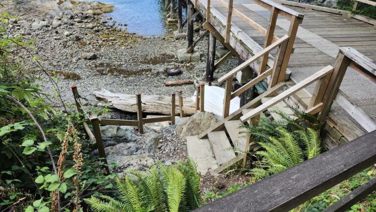 Grafton Bay Beach off leash dog beach Bowen Island BC 2 768x432