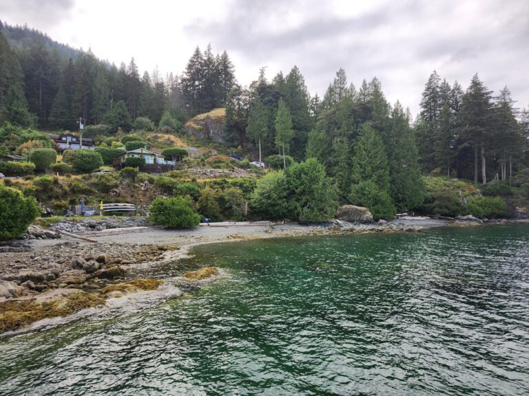 Grafton Bay Beach off leash dog beach Bowen Island BC 6 768x576