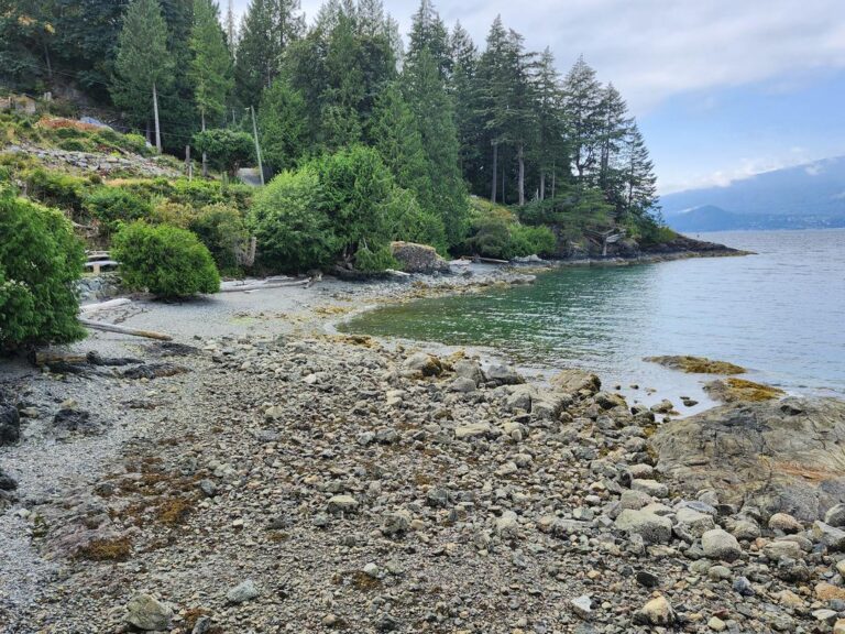 Grafton Bay Beach off leash dog beach Bowen Island BC 9 768x576