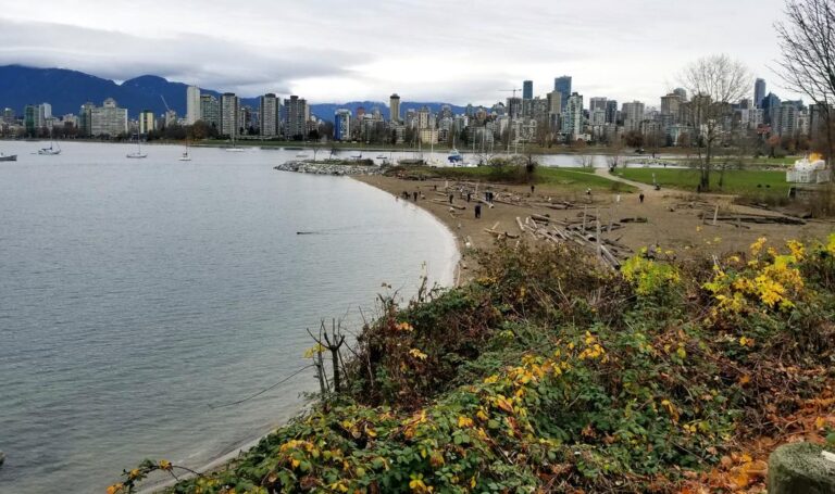 Hadden Park Dog Beach Vancouver 1 768x455